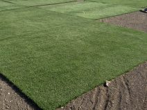 Ts Turf artificial turf 06