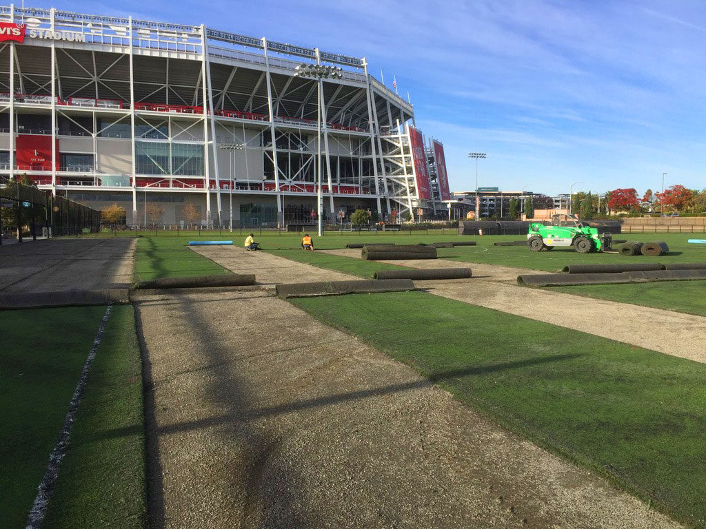 turf removal